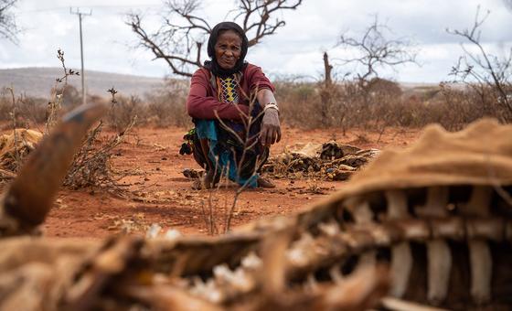 « Ne laissez pas la crise climatique à nos enfants », déclare le chef des droits humains de l'ONU
